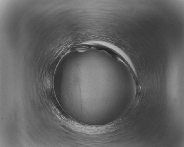 X0000086050039200703301117