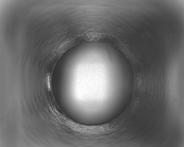 X0000086050042200703301117