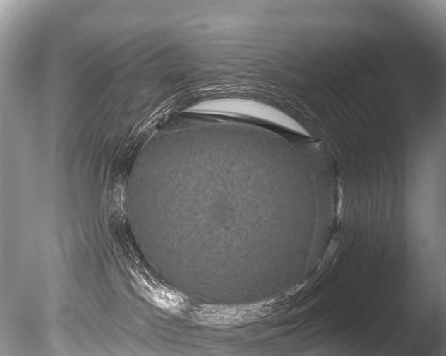 X0000086050045200703301117