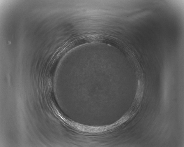 X0000086050048200703301117