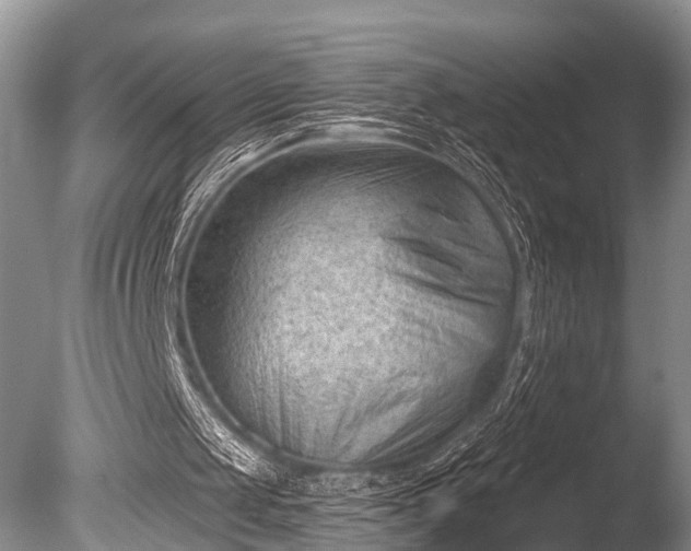 X0000086050049200703301116
