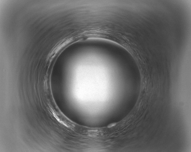 X0000086050050200703301116