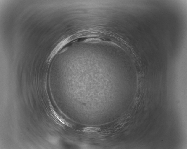 X0000086050051200703301116