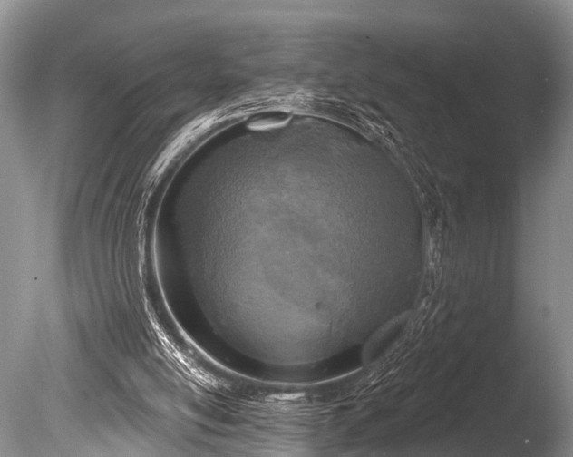 X0000086050054200703301116