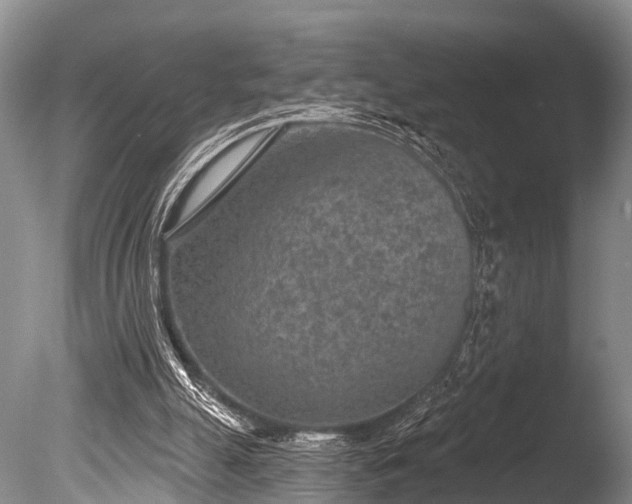 X0000086050055200703301117