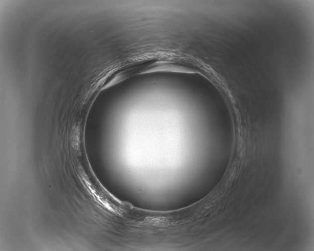 X0000086050057200703301117