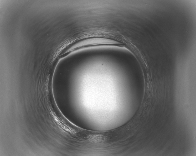 X0000086050058200703301117