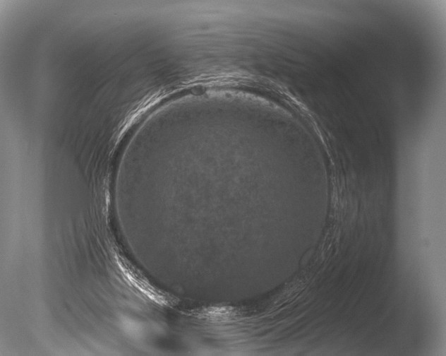 X0000086050059200703301117