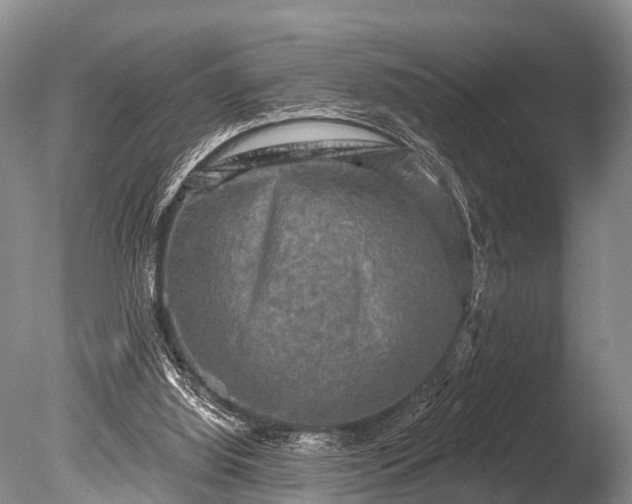 X0000086050060200703301117