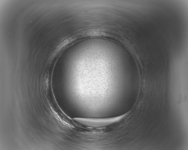 X0000086050063200703301117