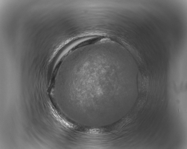 X0000086050064200703301117