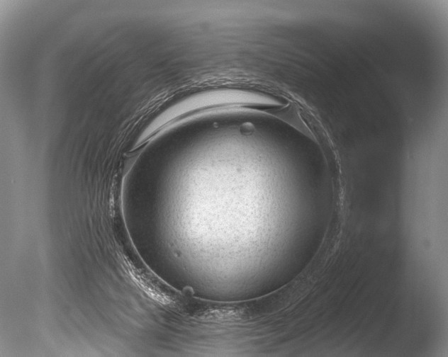 X0000086050065200703301117