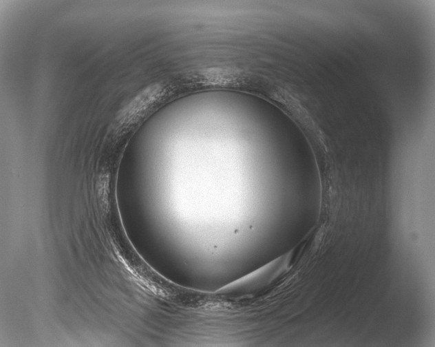 X0000086050066200703301117