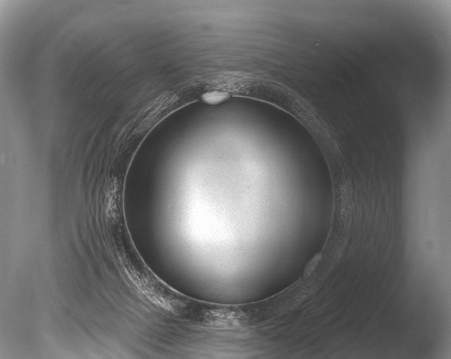 X0000086050073200703301117