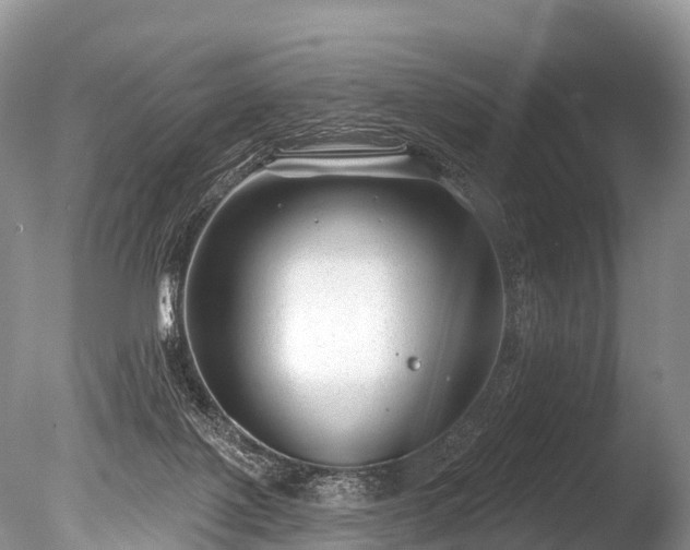 X0000086050075200703301117