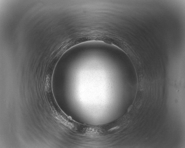 X0000086050077200703301117