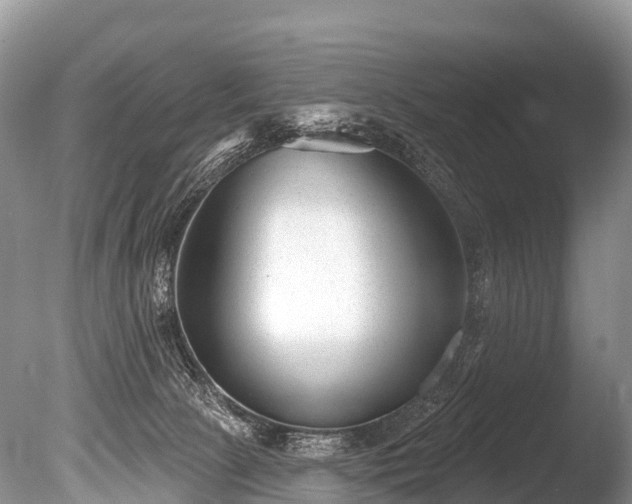 X0000086050081200703301117
