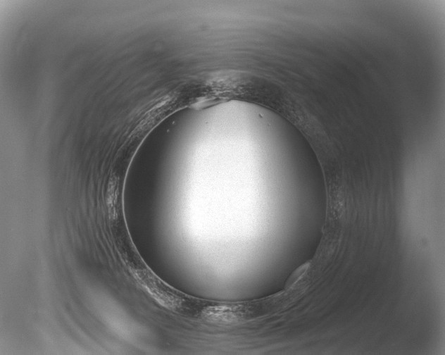 X0000086050082200703301117