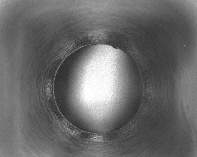 X0000086050083200703301117