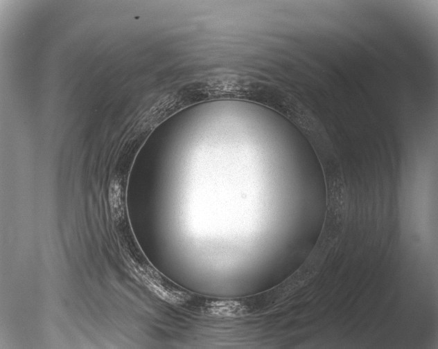 X0000086050087200703301117