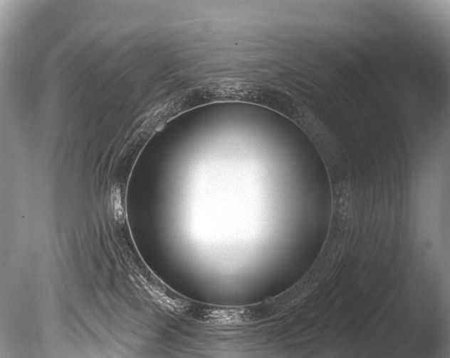 X0000086050089200703301117