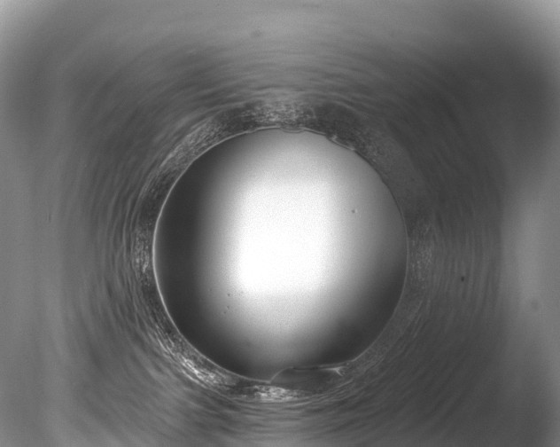 X0000086050091200703301117
