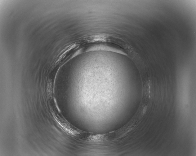 X0000086050092200703301117