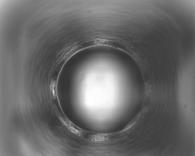 X0000086050094200703301117