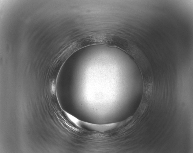 X0000086050095200703301117