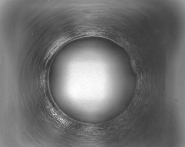 X0000086050098200703301116