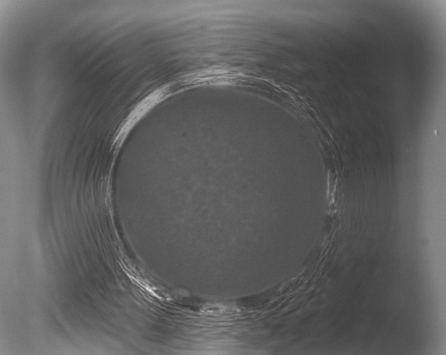 X0000086050099200703301116