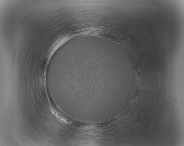 X0000086050100200703301116