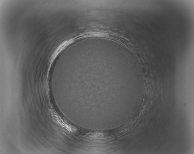 X0000086050104200703301116