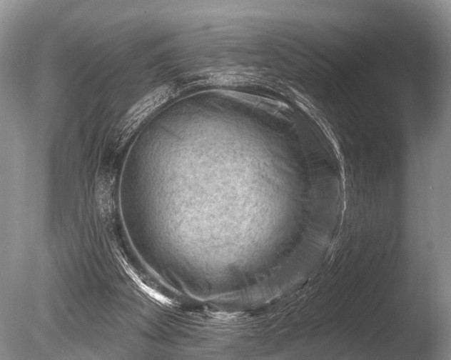 X0000086050105200703301116