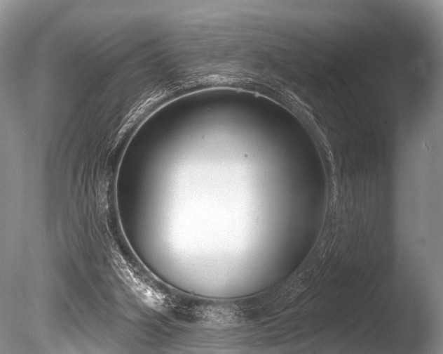 X0000086050106200703301116