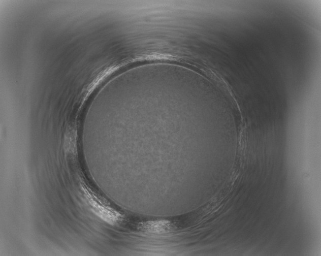 X0000086050108200703301116