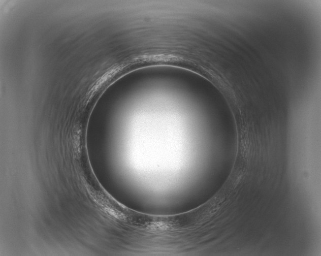 X0000086050111200703301116