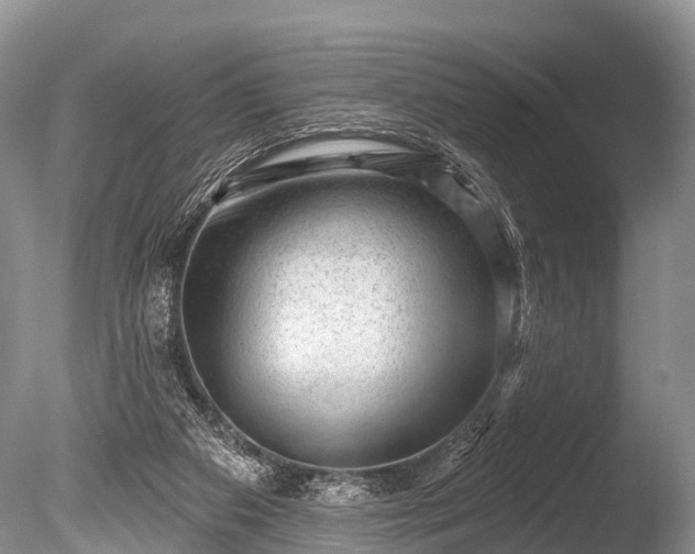 X0000086050113200703301116