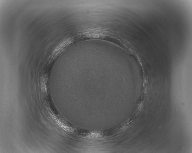 X0000086050114200703301116