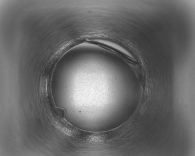 X0000086050115200703301116