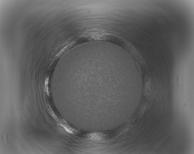 X0000086050121200703301116