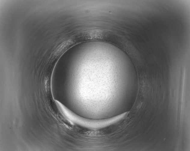 X0000086050123200703301116