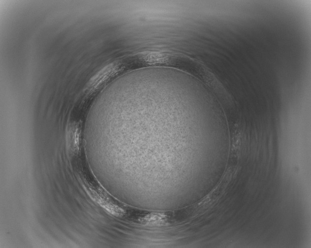X0000086050124200703301116