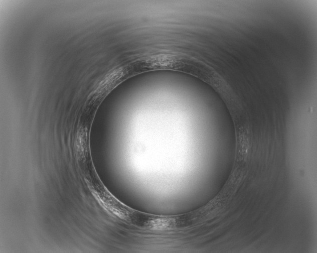 X0000086050126200703301116