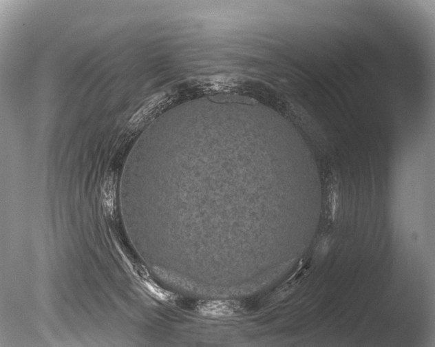 X0000086050129200703301116