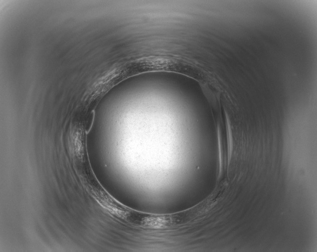 X0000086050131200703301116