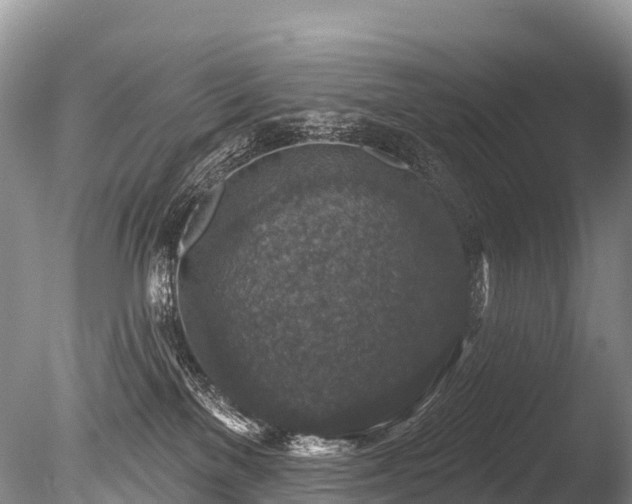 X0000086050137200703301116