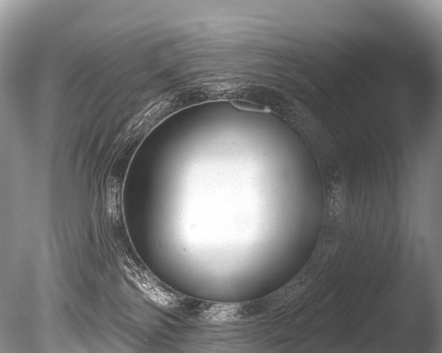 X0000086050138200703301116