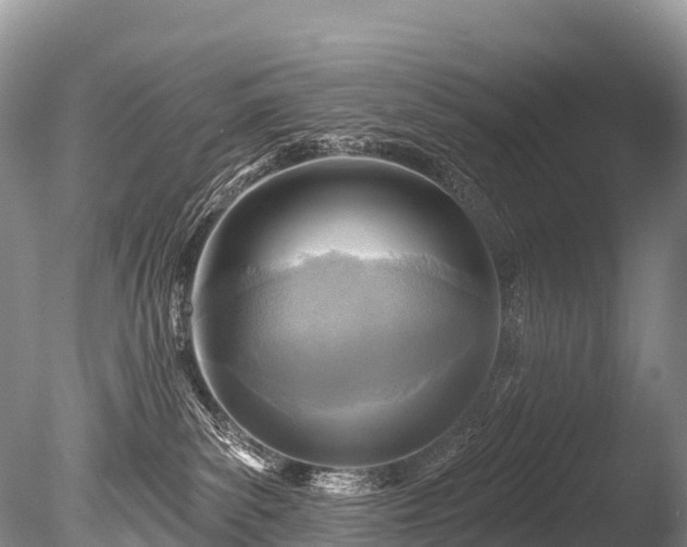 X0000086050139200703301116