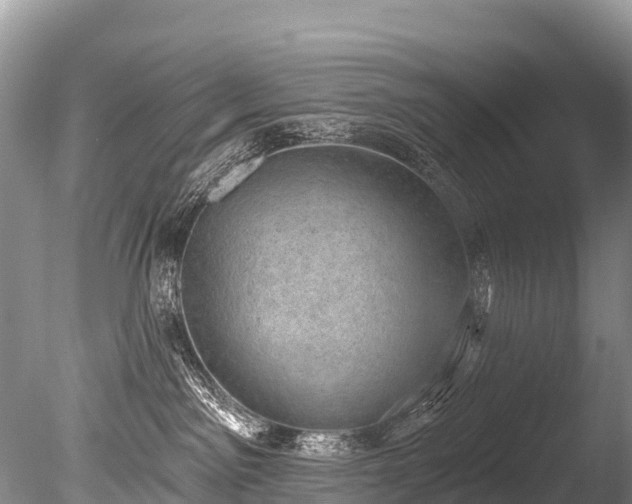 X0000086050141200703301116